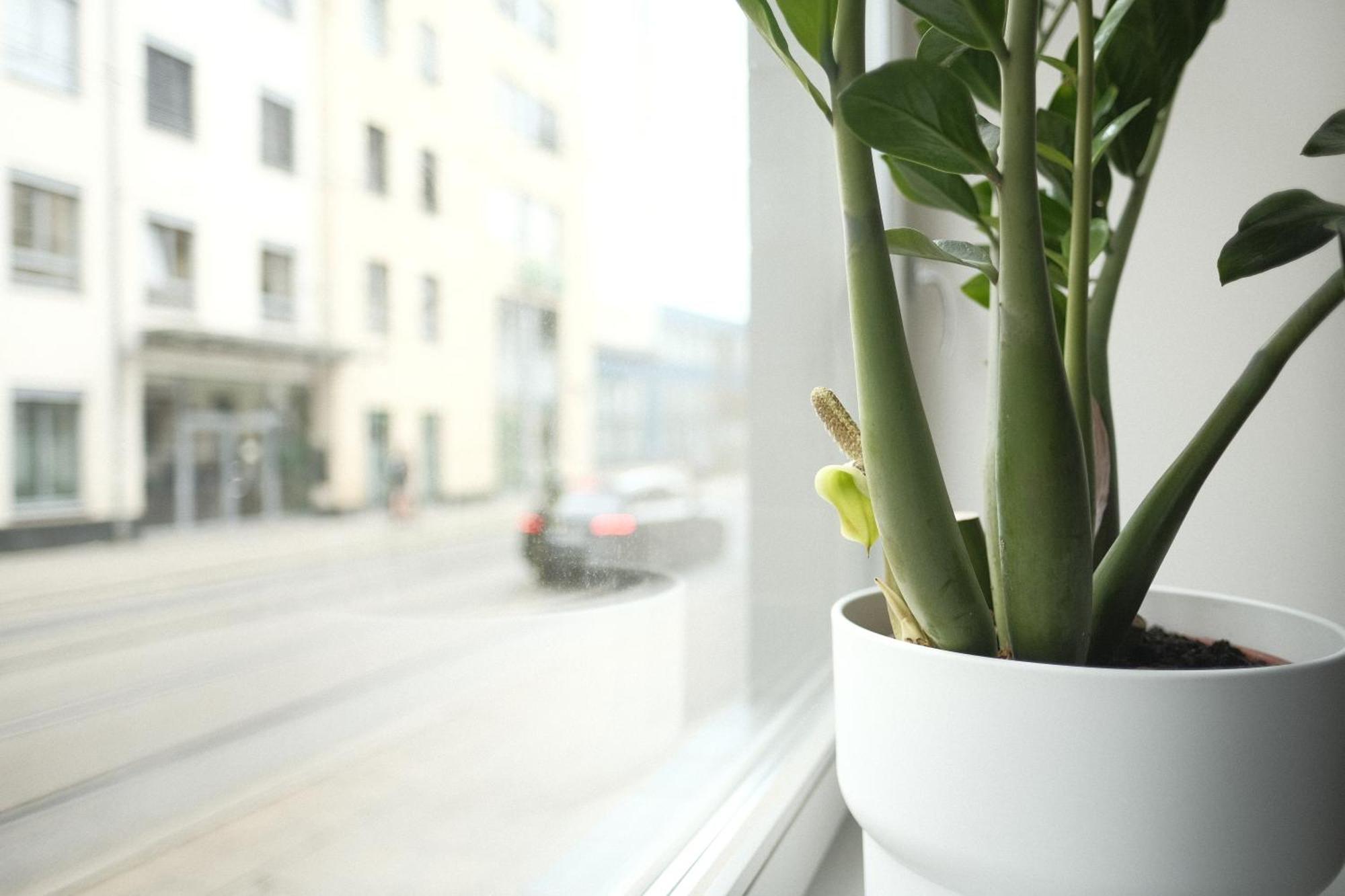 שוורין Apartments Zur Alten Konditorei חדר תמונה